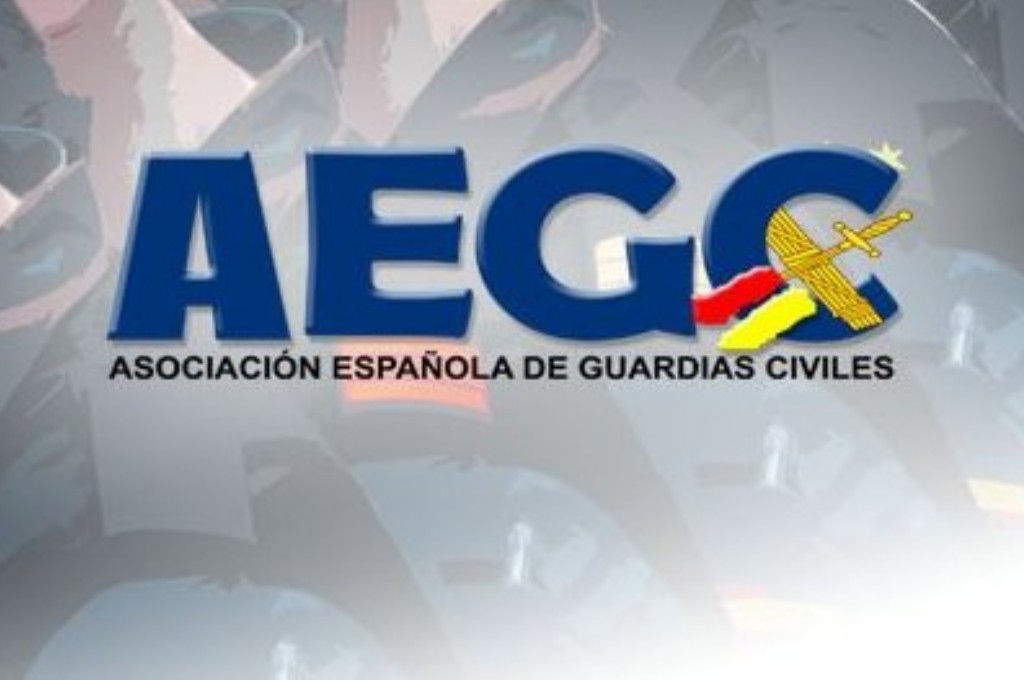 Web Oficial de AEGC